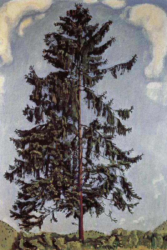  The fir tree